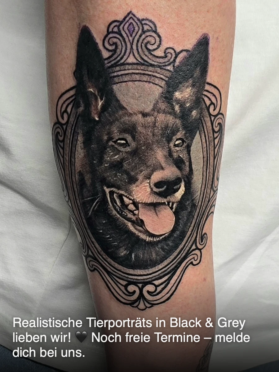 Post by Silver Tattoo & Piercing Regensburg — Silver Tattoo & Piercing Regensburg