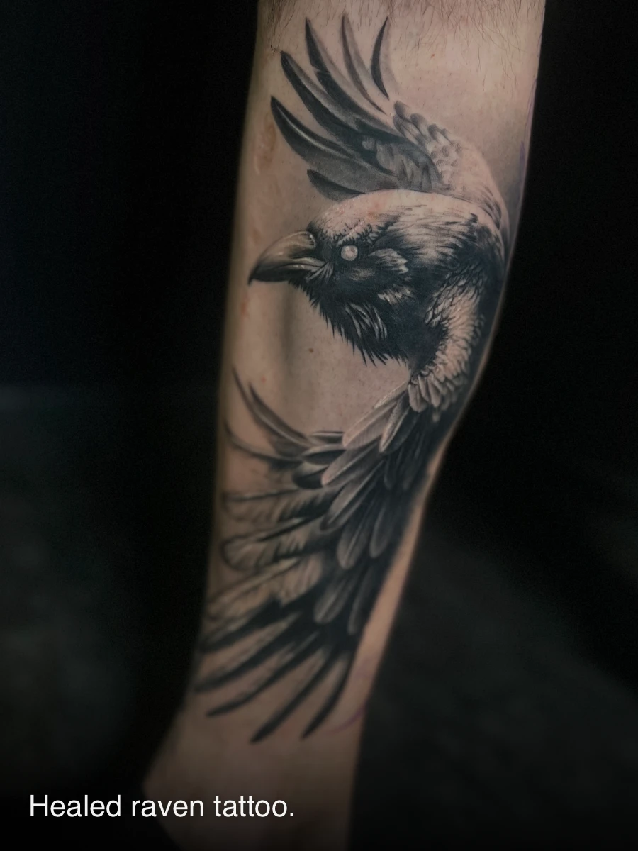 Post by Toroktattooart - Joe Royal Rat Tattoo — Toroktattooart - Joe Royal Rat Tattoo